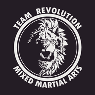 Team Revolution
